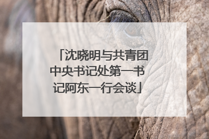 沈晓明与共青团中央书记处第一书记阿东一行会谈